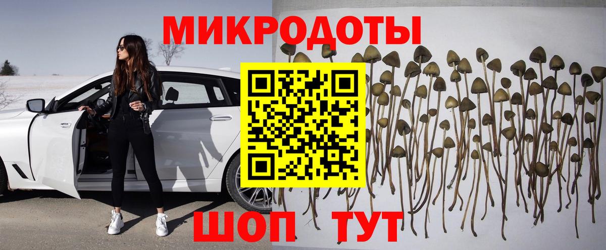 Галлюциногенные грибы прущие грибы Коряжма